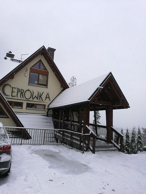Apartament Z Kogutem Zakopane Exteriér fotografie