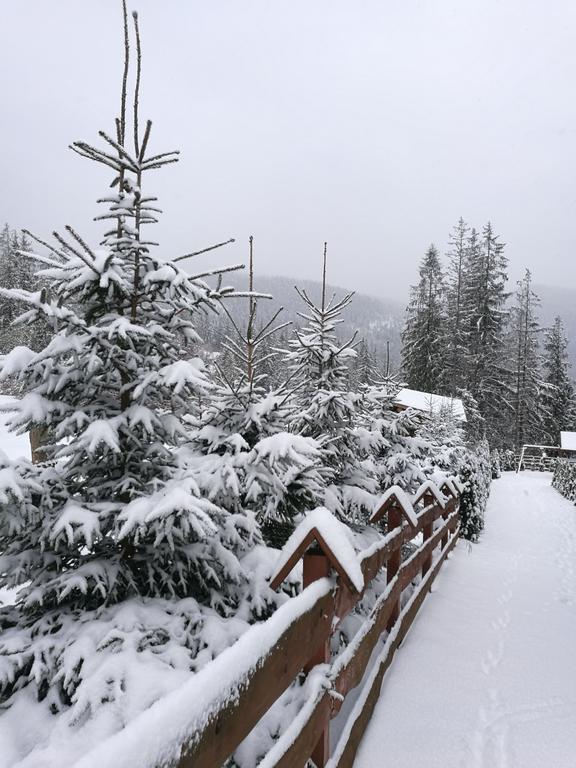 Apartament Z Kogutem Zakopane Exteriér fotografie