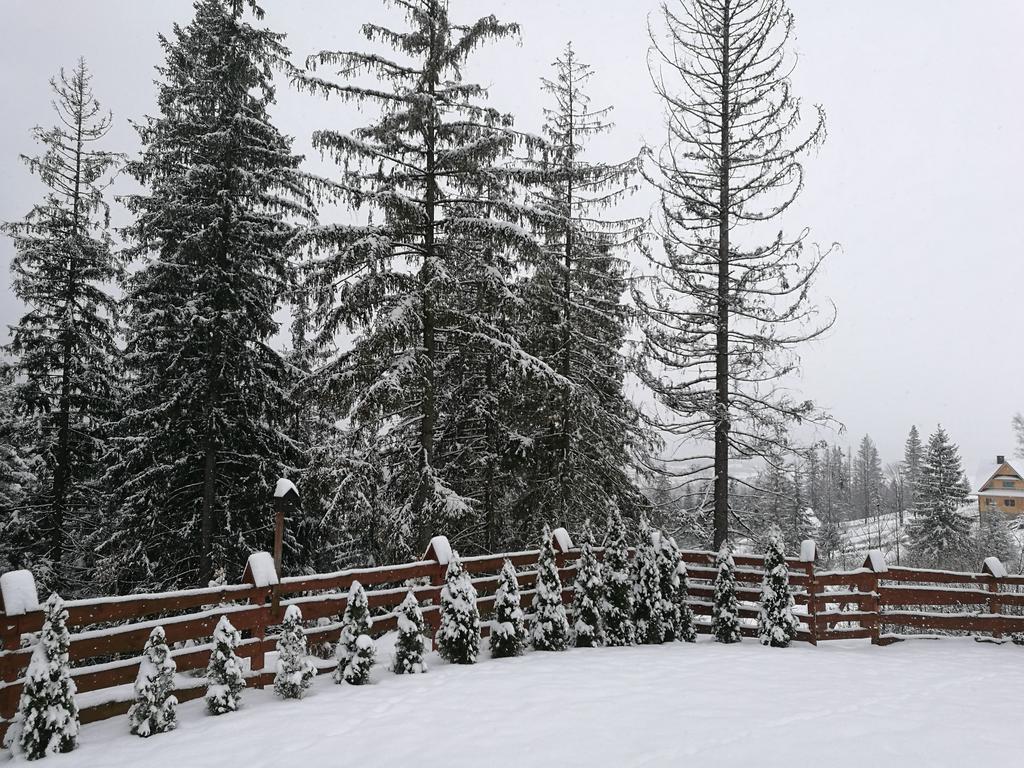 Apartament Z Kogutem Zakopane Exteriér fotografie